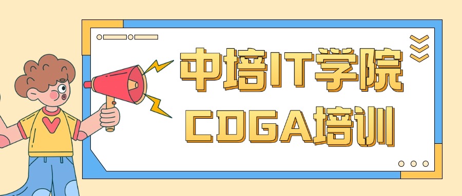 中培IT学院:DAMA-CDGA授权培训机构