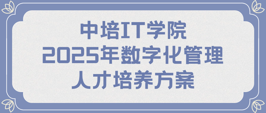 中培IT学院-2025年数字化管理人才培养方案