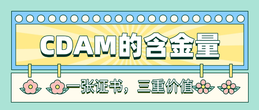 CDAM的含金量：一张证书，三重价值