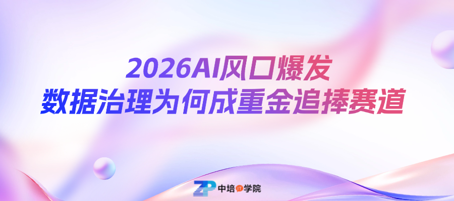 AI红利洗牌：数据治理为王，CDO成企业核心操盘手