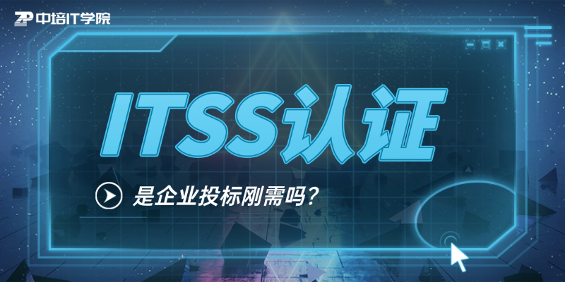 2026年企业IT团队培养指南：ITSS工程师+项目经理怎么批量培养？