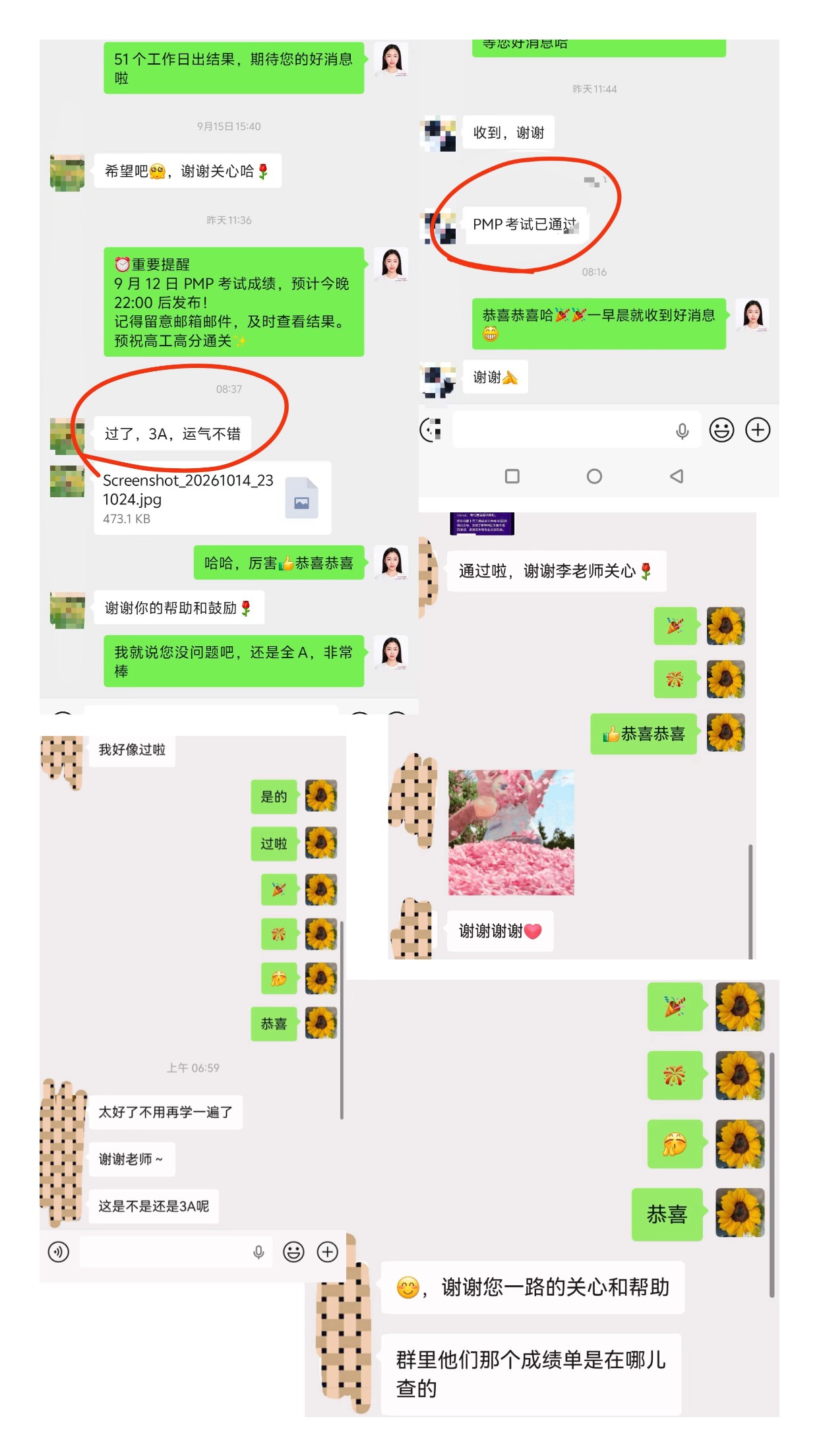 拼接.jpg
